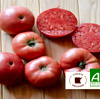 Tomato Ponderosa - Bleen
