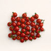 Tomato Seeds - Row7seeds.com 