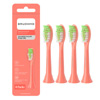 Toothbrush Heads : Brushmo