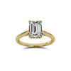 Twinkle Yellow Gold Halo Emerald Cut : La Joya Jewelry