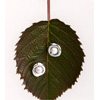 Uovo Earrings : Steph Mazuera