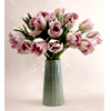 Valentine - Odealarose.com 