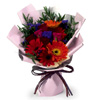 Vibrant Days Hand Bouquet | Hummings