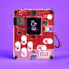 Wacky Genius : Circuitmess