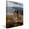 Wedding Magazines : Milkbooks