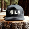 Wild Cane x Ampal Creative : Wildcanesupply