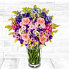 Wild Forests | 123-flowers.co.uk