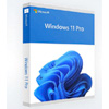 Windows 11 Professional : LizenzHub