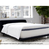 The WinkBed : Winkbeds