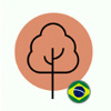 Wood Tree : Wood You Care