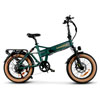 XWLX09-II 1000W Fat Tire Mountain Ebike : SameBike