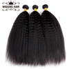Yaki Human Hair | Wiggins Hair