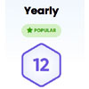 Yearly Plan : Icevpn.com