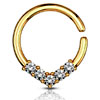 Zirconia Gold Bendable - Piercingxxl.com