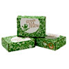 Zoologist 3-Pack : GreenKidCrafts
