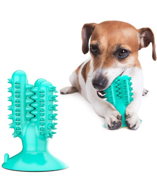 ANYPET Dog Chew Toothbrush Toy