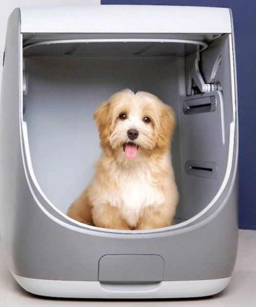All-In-One Indoor Dog Shower & Dryer