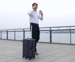 Autonomous Auto-Following Suitcase