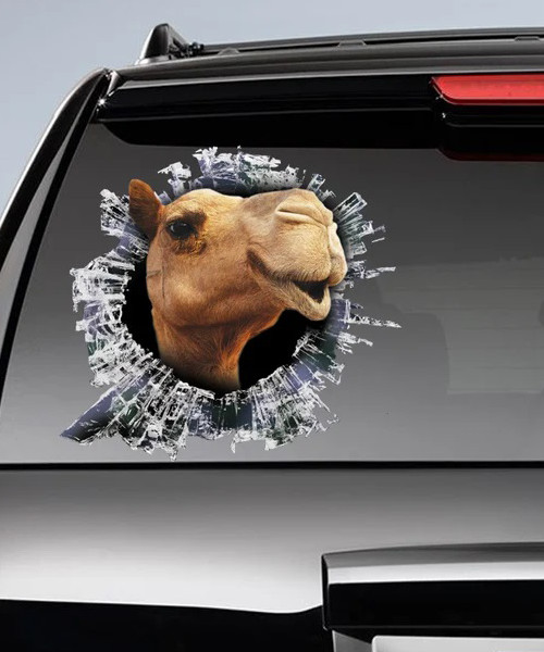 Camel Window Decal