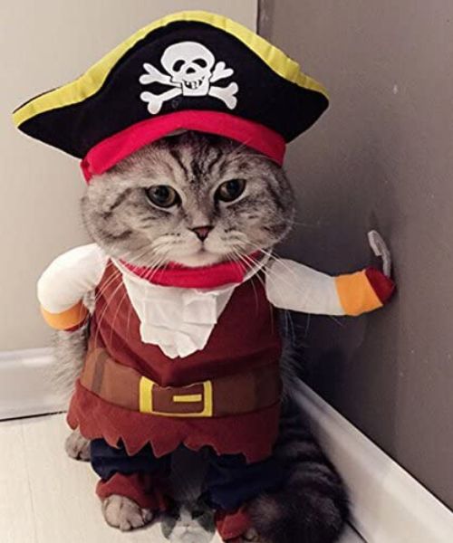 Cat Pirate Costume