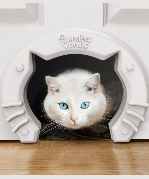 Cat-Shaped Kitty Door