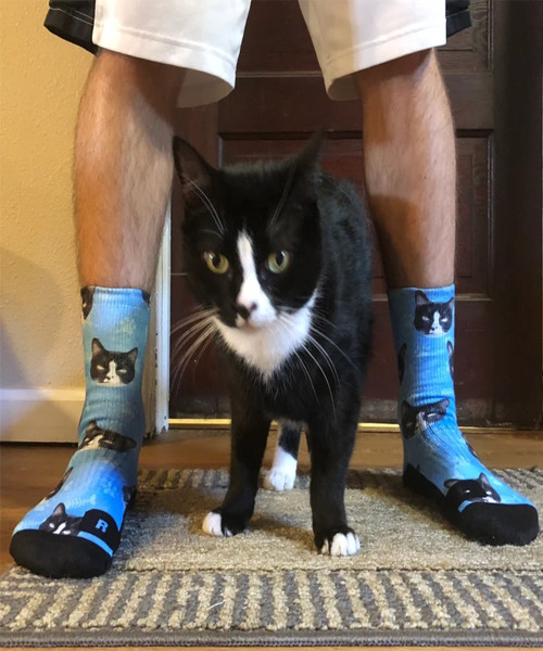Customized Cat Socks