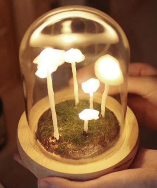 DIY Mushroom Lamps
