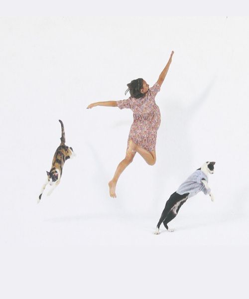 Dancing with Cats: Book