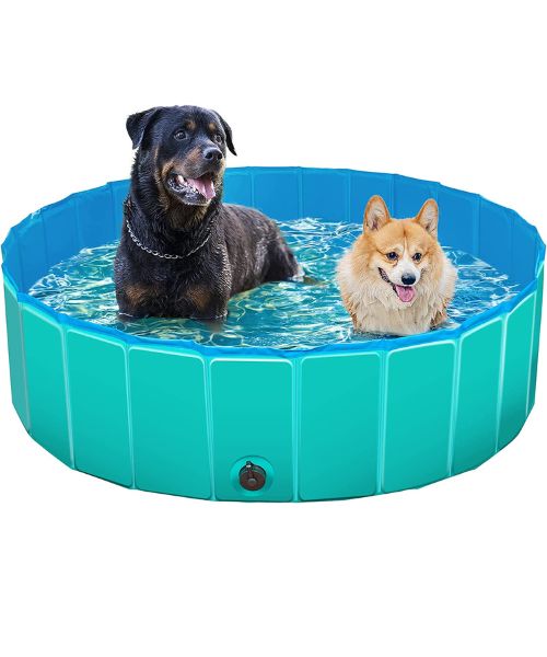 Dog Pool 32