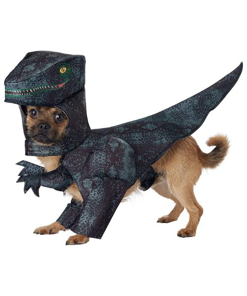 Dog Pupasaurus Rex Costume