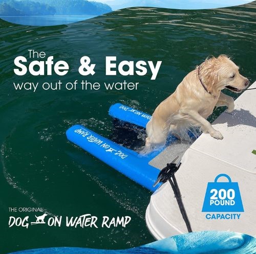 Dog on Water Ramp for Boat