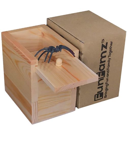 FunFamz The Original Spider Prank Box