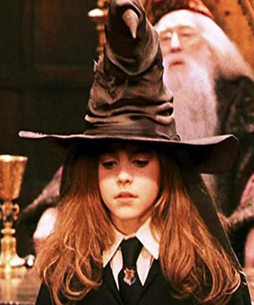 Harry Potter Talking Sorting Hat