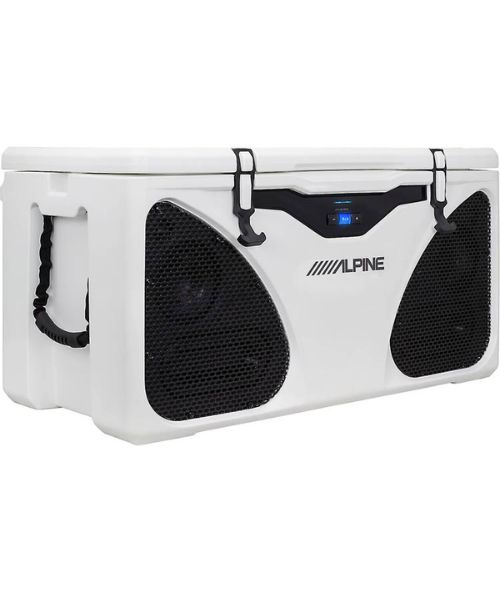 Ice Cooler Entertainment System