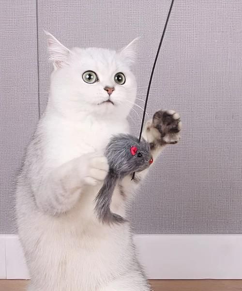 Interactive Hanging Mouse Cat Toy
