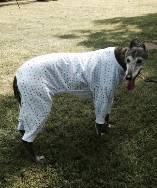 Lightweight Dog Pajamas