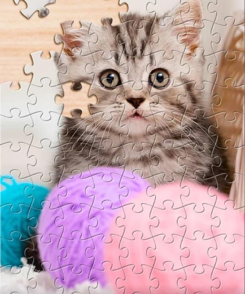 Pet Puzzle Pieces