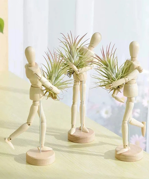 Plant People Air Plant Holder