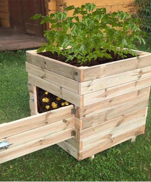 Potato Planter Box