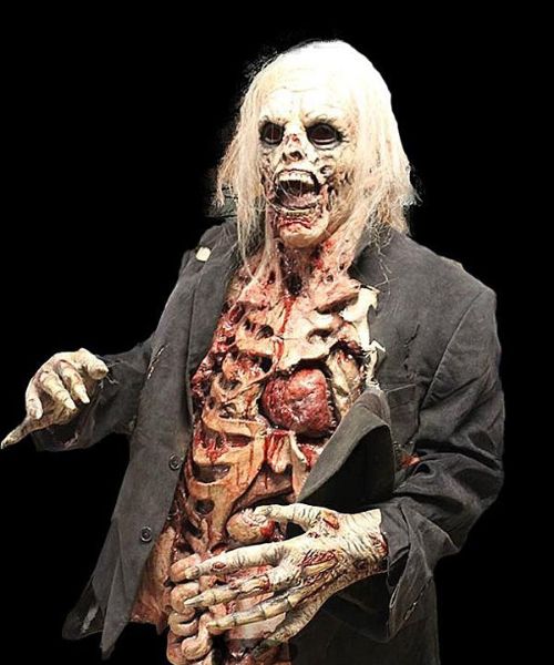 Professional Zombie Costume
