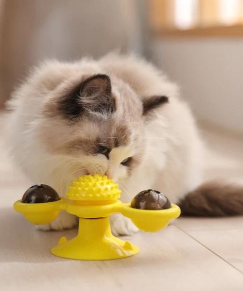 Rotating Windmill Cat Toy For Chewing Swatting Rubbing.