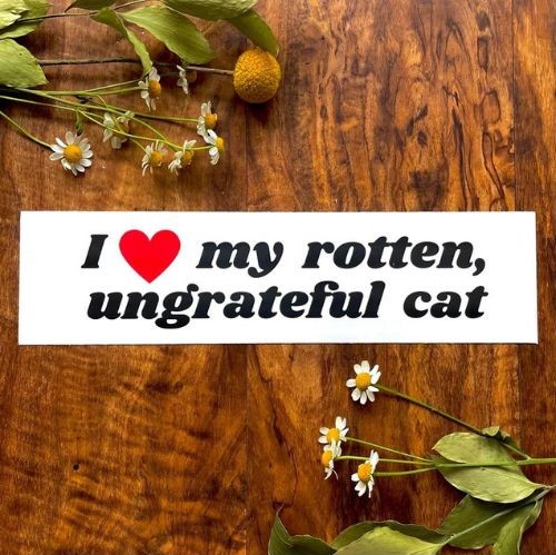 Rotten Ungrateful Cat Funny Meme Bumper Sticker