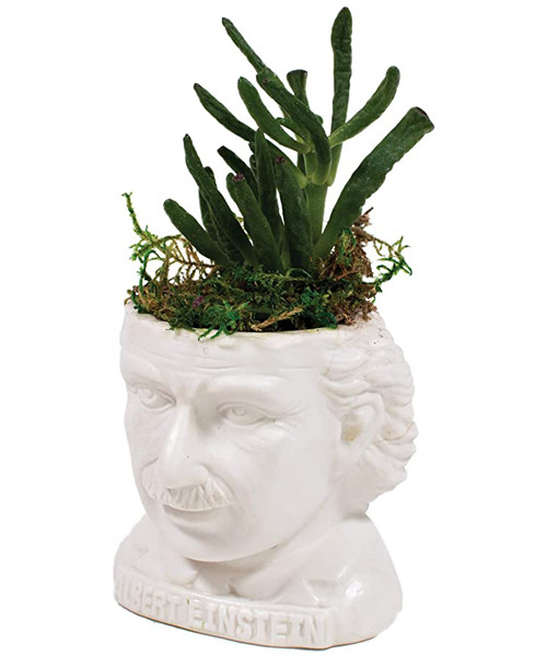 The Unemployed Philosophers Guild Albert Einstein Bust Succulent Planter