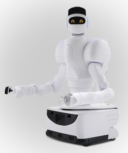 Aeo Service Robot