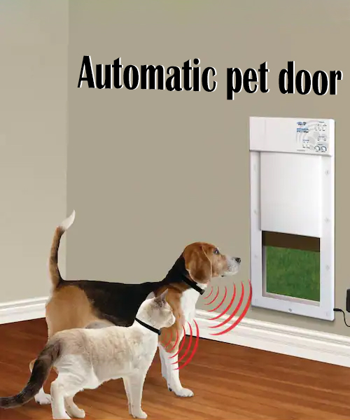 Petavation: The Pet-Friendly Door