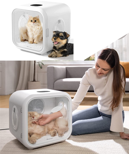 Automatic Pet Dryer: Drying Pawfectly