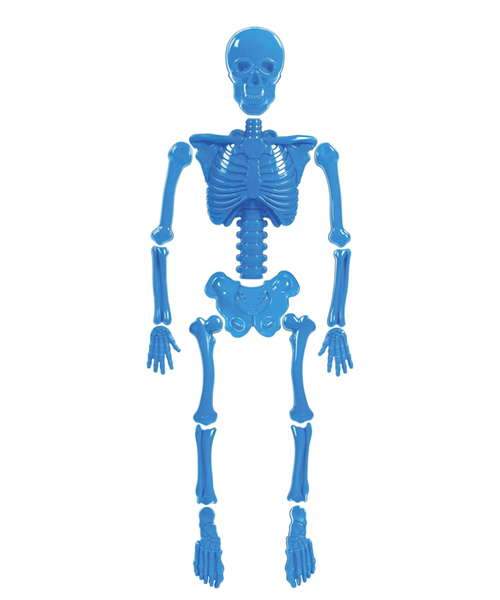 Bag O Beach Bones Sand Mold