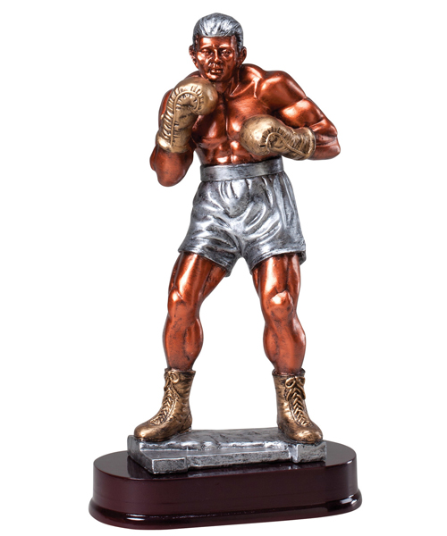 Boxing Award Trophy