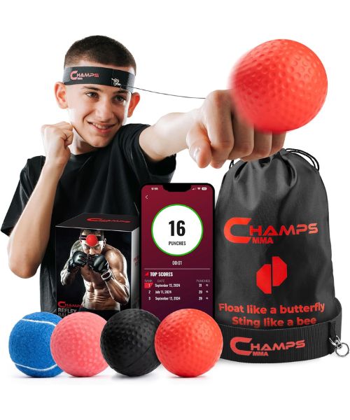 Boxing Reflex Ball Set