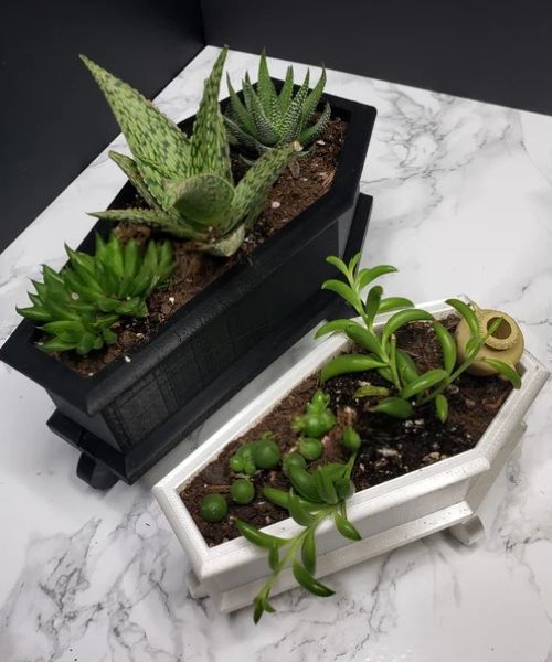 Coffin Mini Planter